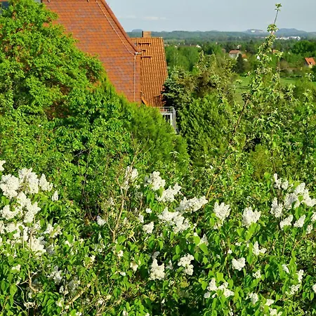 Weitblick Feriehus Dresden